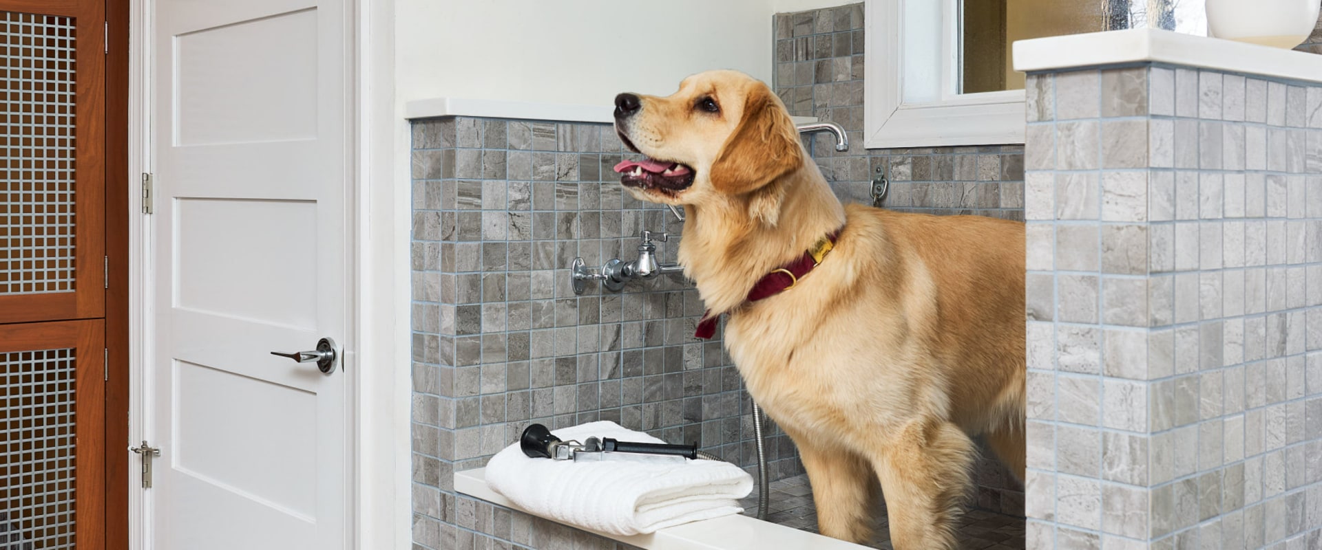 Preparing Your Family and Pets for a Home Renovation Project