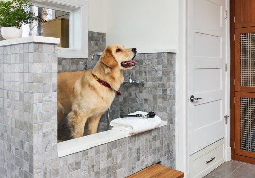 Preparing Your Family and Pets for a Home Renovation Project